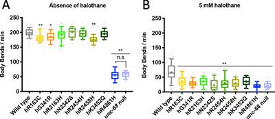 Single Amino Acid Changes in the Ryanodine Receptor in the Human Population Have Effects In Vivo on Caenorhabditis elegans Neuro-Muscular Function